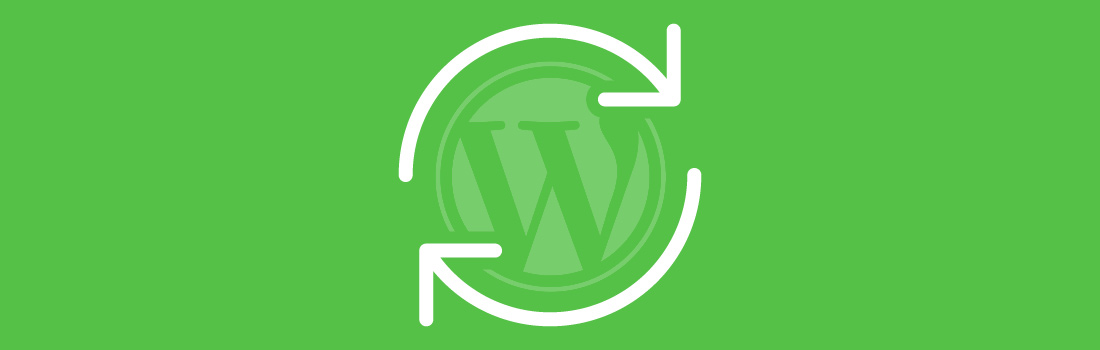 WordPress Updates