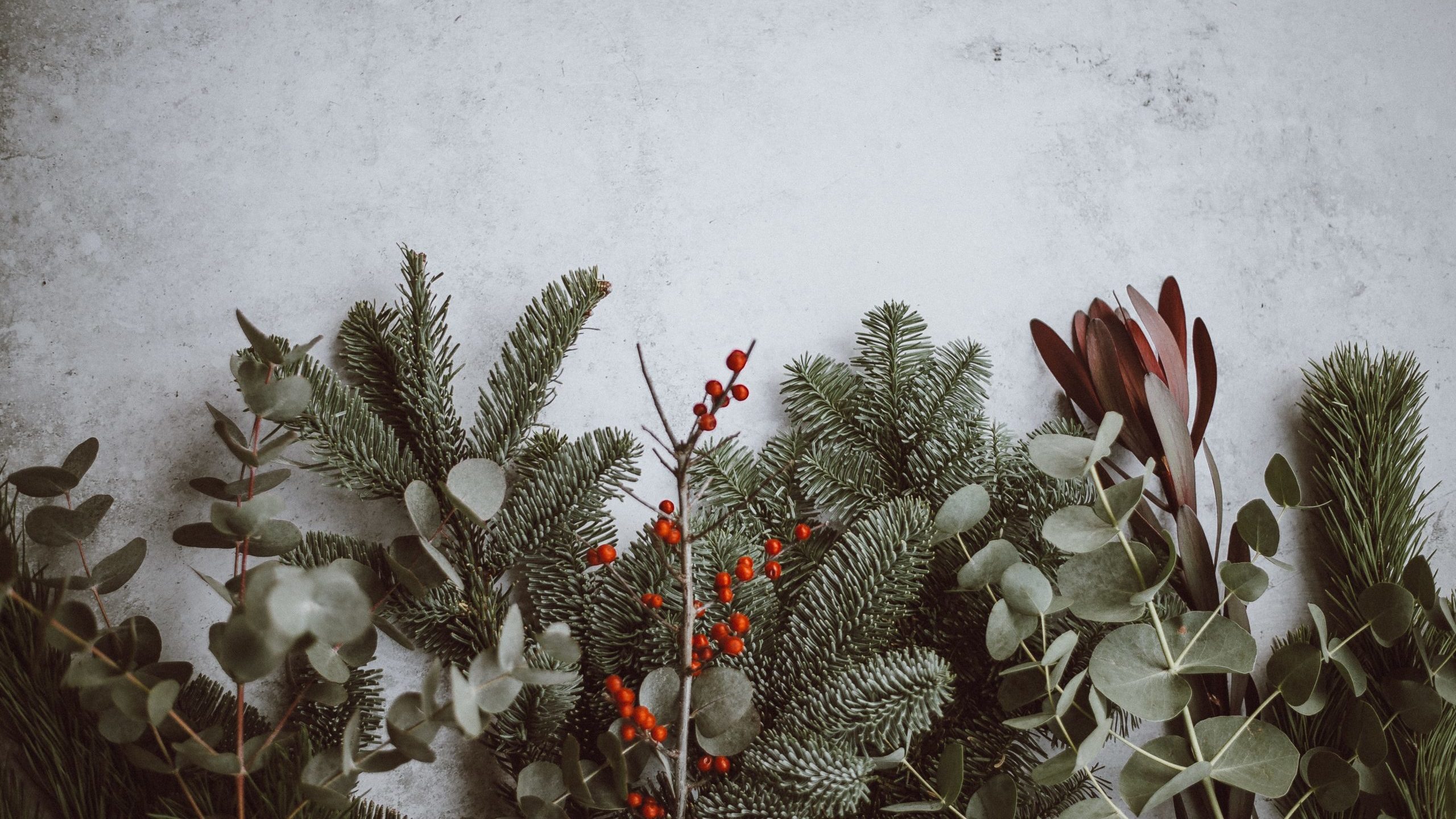 cropped annie spratt QKo op gR9I unsplash scaled 1