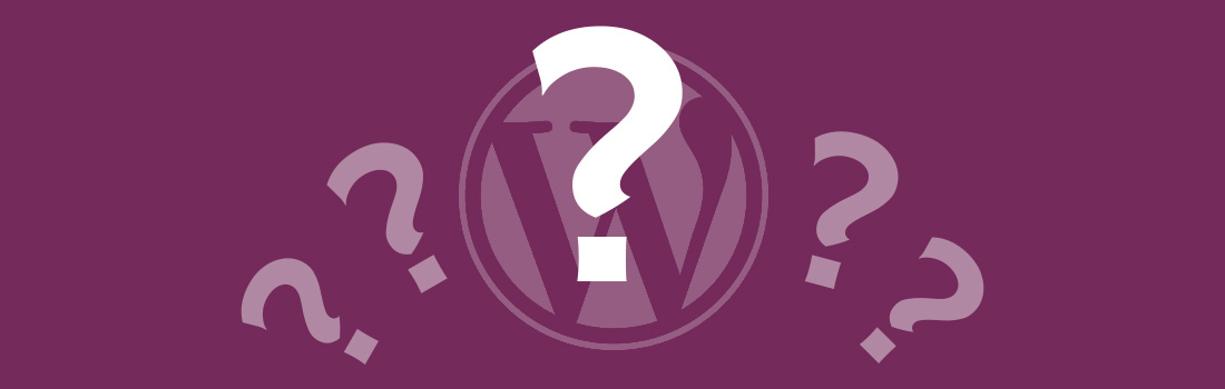 WordPress website packages